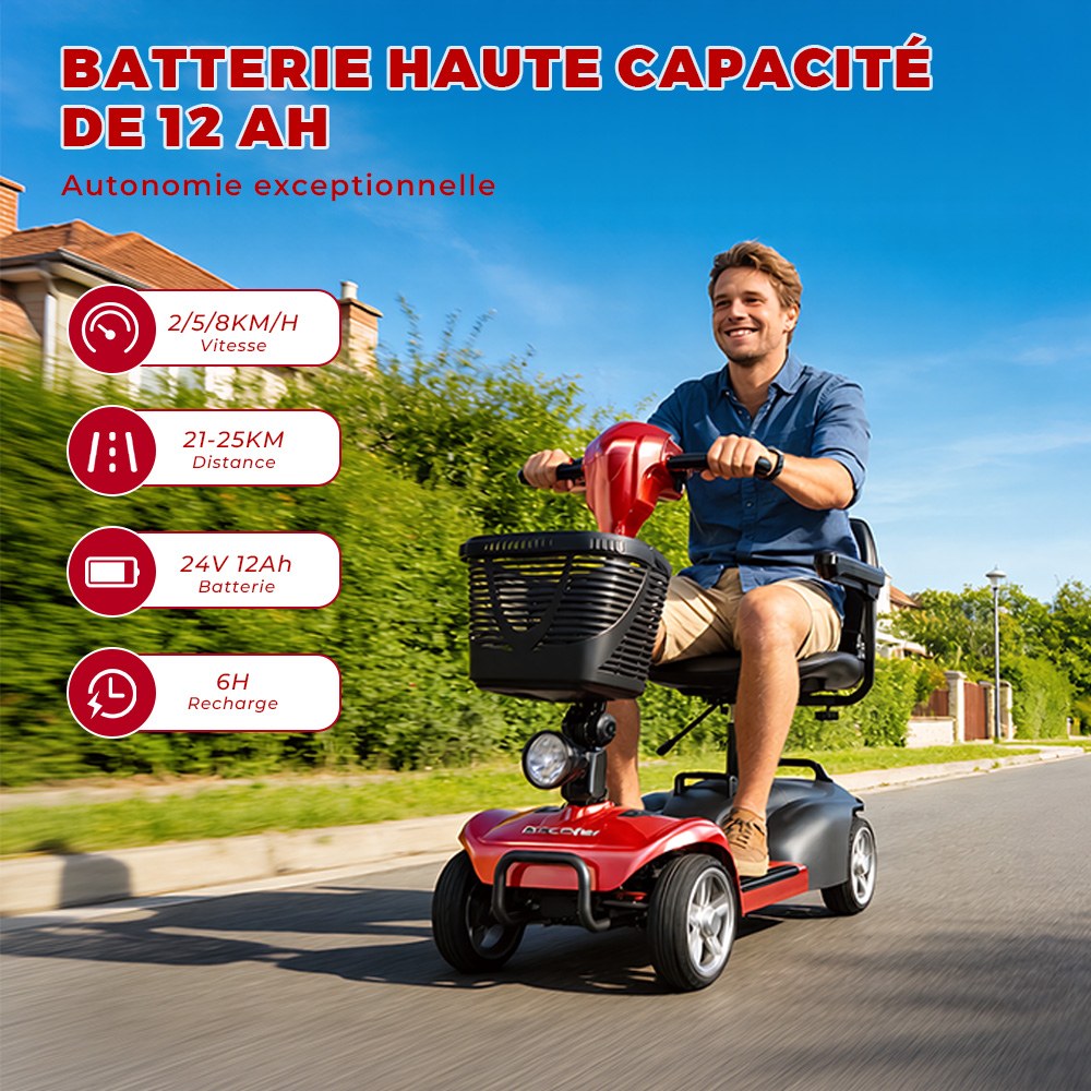 iScooter X02 Scooter de mobilité, moteur 300 W, batterie 24 V 12 Ah, vitesse maximale 8 km/h, autonomie 25 km, scooter électrique 4 roues avec siège pivotant et frein électromagnétique, charge maximale 136 kg