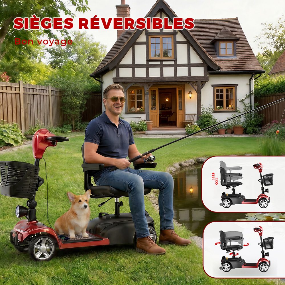 iScooter X02 Scooter de mobilité, moteur 300 W, batterie 24 V 12 Ah, vitesse maximale 8 km/h, autonomie 25 km, scooter électrique 4 roues avec siège pivotant et frein électromagnétique, charge maximale 136 kg