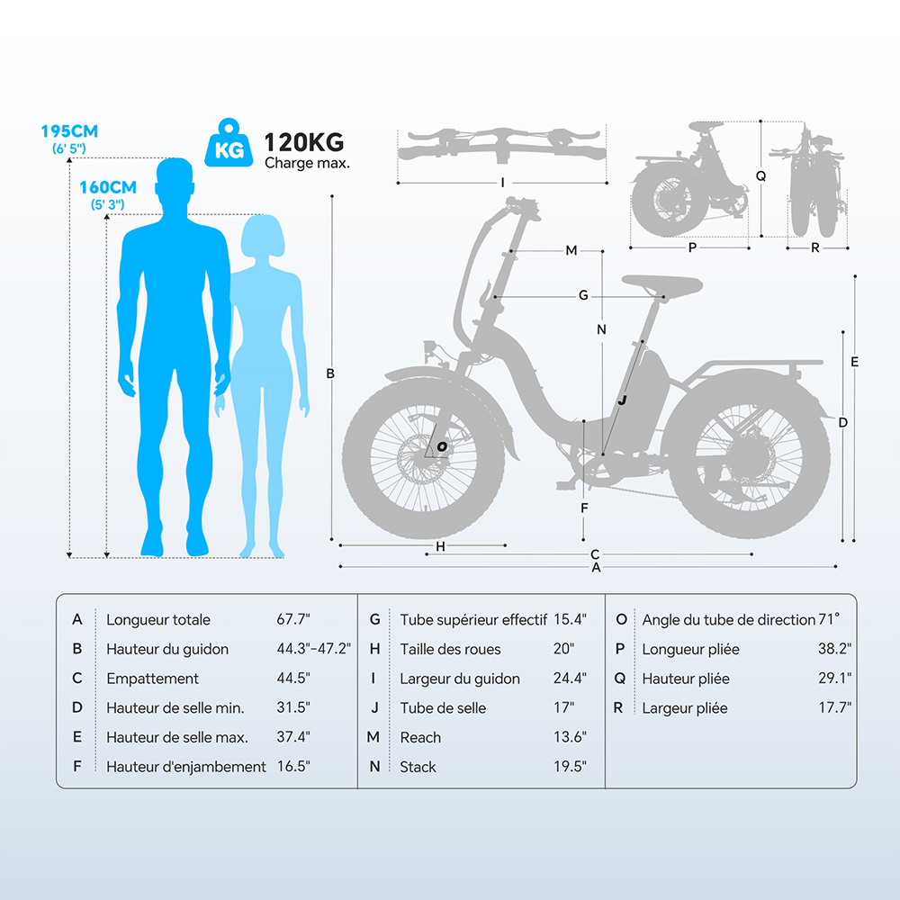 Touroll S2 Vélo électrique, puissance maximale de 650 W, batterie 48 V 15 Ah, pneu 20 x 4,0 pouces, vitesse maximale de 25 km/h, autonomie maximale de 150 km, frein à disque mécanique et frein électrique, amortisseur mécanique, Shimano 7 vitesses