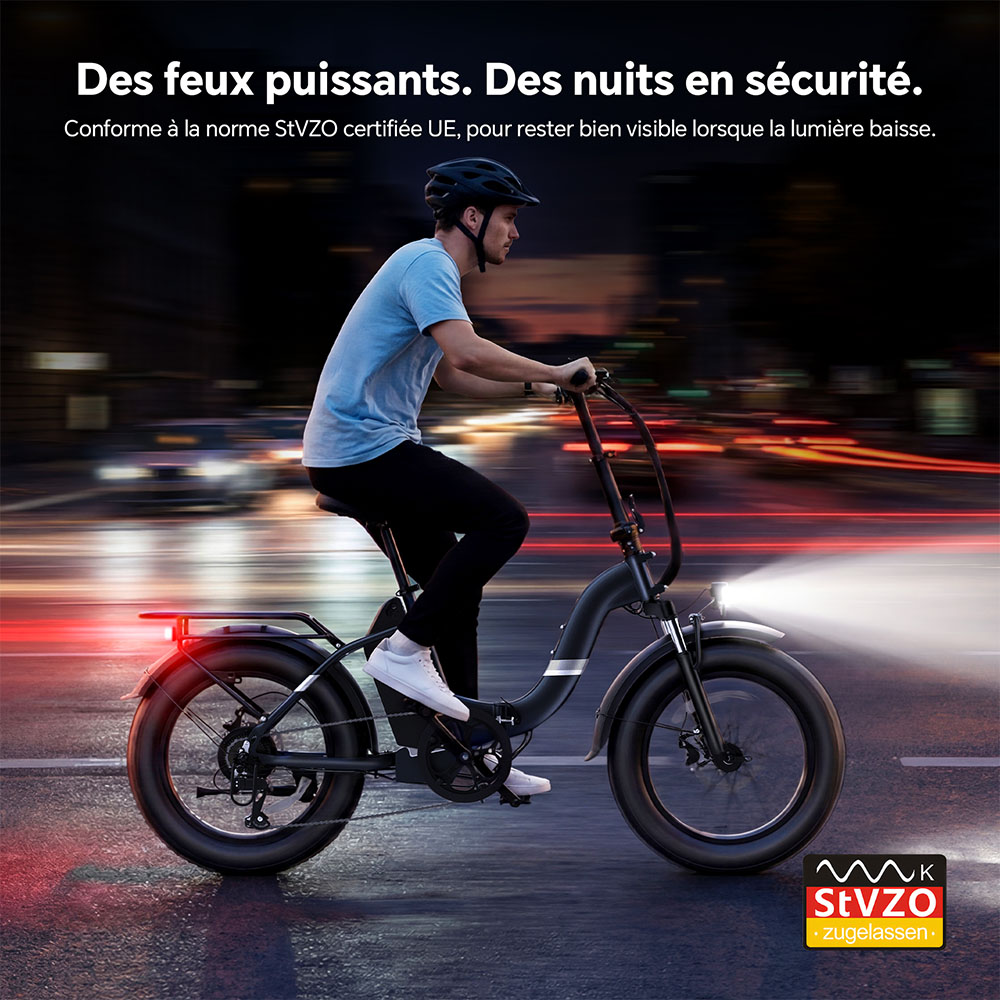 Touroll S2 Vélo électrique, puissance maximale de 650 W, batterie 48 V 15 Ah, pneu 20 x 4,0 pouces, vitesse maximale de 25 km/h, autonomie maximale de 150 km, frein à disque mécanique et frein électrique, amortisseur mécanique, Shimano 7 vitesses