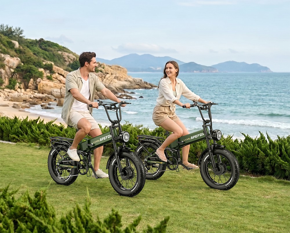 APEFOX RH20 Faltbares Elektrofahrrad, zwei 750-W-Nabenmotoren, 48-V-22,5-Ah-Lithium-Akku, 50 km/h Höchstgeschwindigkeit, 100 km Reichweite, 20×4,0