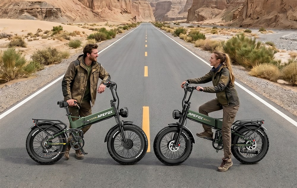 APEFOX RH20 Faltbares Elektrofahrrad, zwei 750-W-Nabenmotoren, 48-V-22,5-Ah-Lithium-Akku, 50 km/h Höchstgeschwindigkeit, 100 km Reichweite, 20×4,0