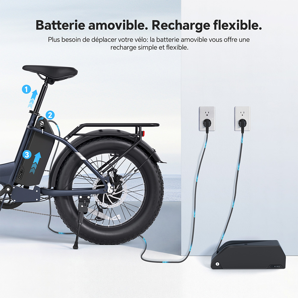 Touroll S2 Vélo électrique, puissance maximale de 650 W, batterie 48 V 15 Ah, pneu 20 x 4,0 pouces, vitesse maximale de 25 km/h, autonomie maximale de 150 km, frein à disque mécanique et frein électrique, amortisseur mécanique, Shimano 7 vitesses