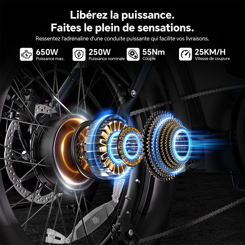 Touroll S2 Vélo électrique, puissance maximale de 650 W, batterie 48 V 15 Ah, pneu 20 x 4,0 pouces, vitesse maximale de 25 km/h, autonomie maximale de 150 km, frein à disque mécanique et frein électrique, amortisseur mécanique, Shimano 7 vitesses