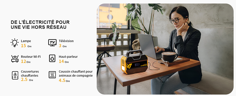 VTOMAN FlashSpeed 300 Station d'alimentation portable, batterie LiFePO4 de 230Wh, sortie AC de 300W, puissance de pointe de 600W, 7 ports, entrée/sortie USB-C de 100W, 3 ports USB-A, sortie DC de 12V/10A, entrée DC de 90W