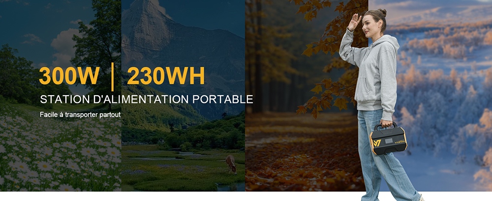 VTOMAN FlashSpeed 300 Station d'alimentation portable, batterie LiFePO4 de 230Wh, sortie AC de 300W, puissance de pointe de 600W, 7 ports, entrée/sortie USB-C de 100W, 3 ports USB-A, sortie DC de 12V/10A, entrée DC de 90W