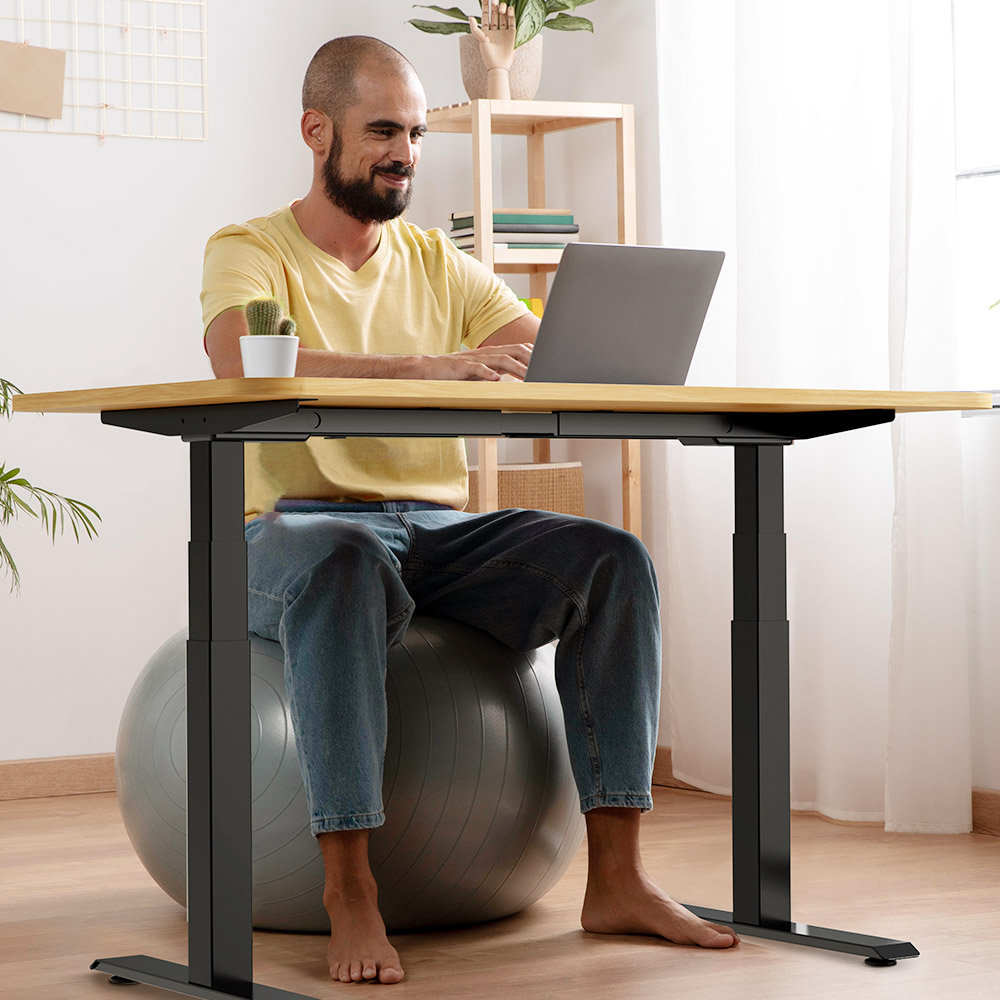 Refurbished ACGAM JSZ-3 Dual-motor 3-Stage Electric Adjustable Standing Desk Frame, Heavy Duty 264lbs Load Capacity, for Home Office, Black - EU Plug