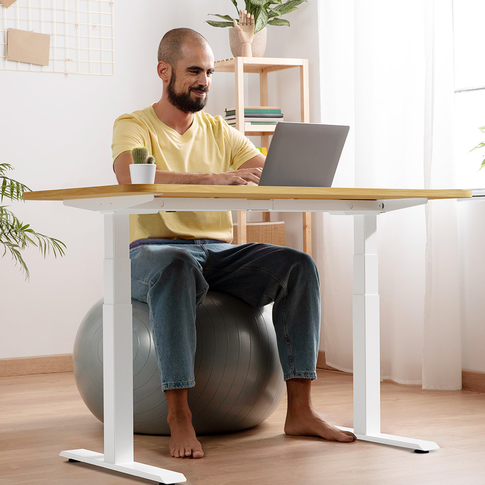 Refurbished ACGAM JSZ-3 Dual-motor 3-Stage Electric Adjustable Standing Desk Frame, Heavy Duty 264lbs Load Capacity, for Home Office, White - EU Plug