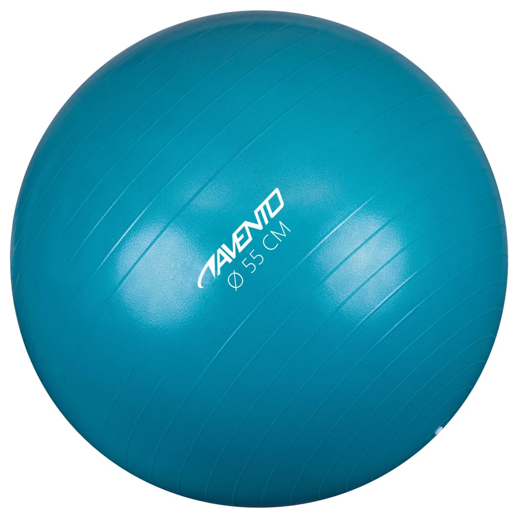 

Avento Fitness/Gym Ball Dia. 55 cm Blue