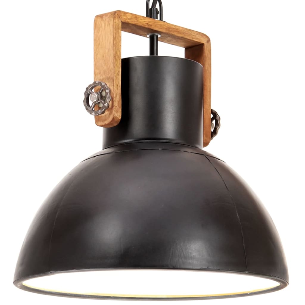 

Industrial Hanging Lamp 25 W Dead Black Round 30 cm E27