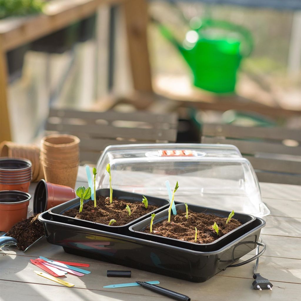 Nature Propagator with Heating Element 38x24x19 cm