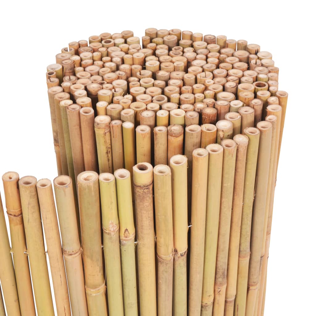 Bamboo Fence 300x100 cm