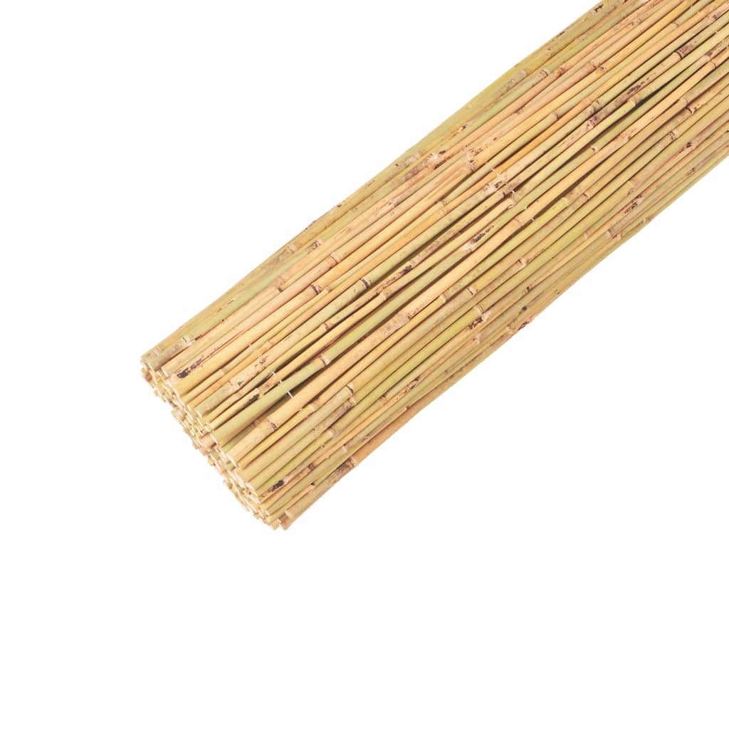 Bamboo Fence 300x125 cm