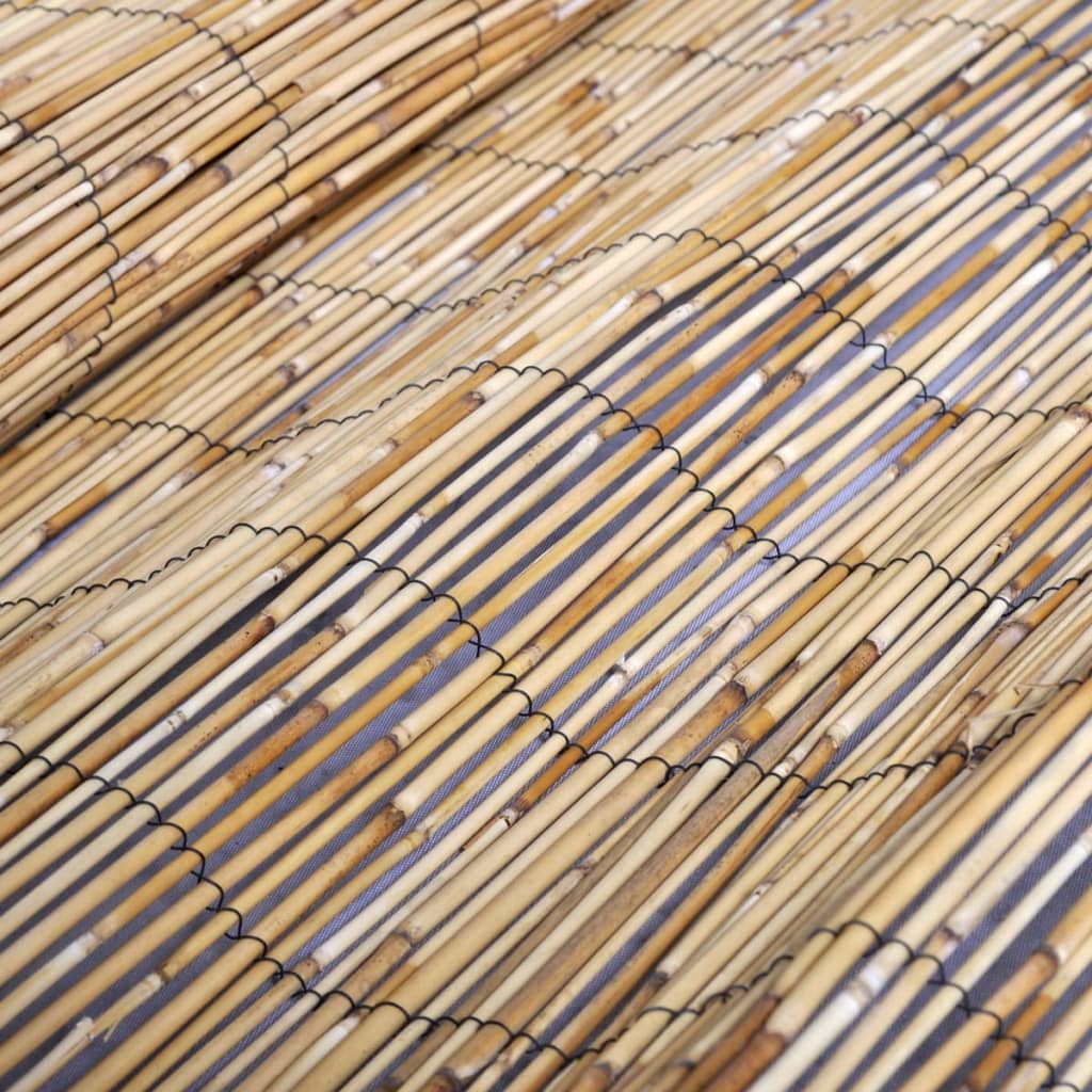 Reed Fences 2 pcs 150x500 cm