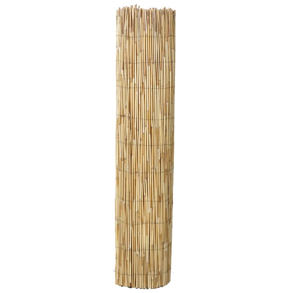 Reed Fences 2 pcs 150x500 cm