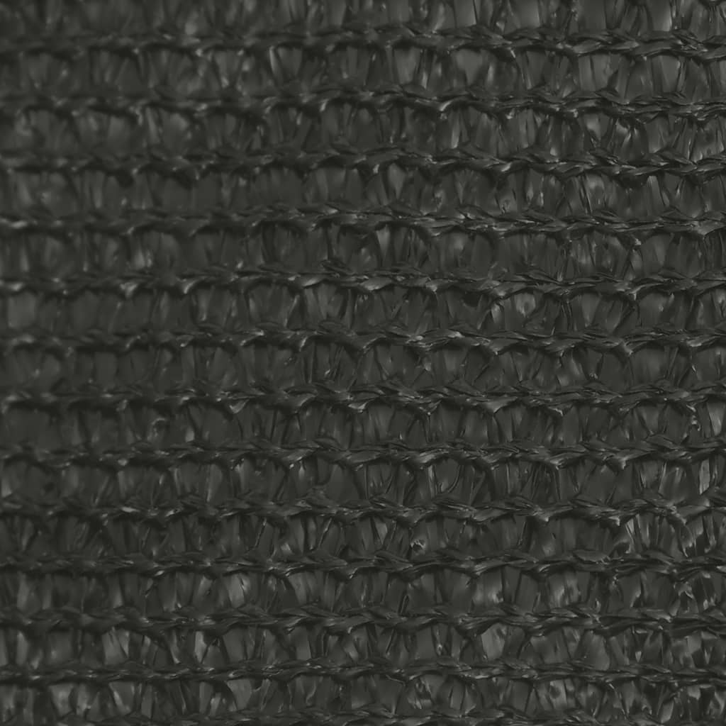 Sunshade Sail 160 g/m² Anthracite 3x4x5 m HDPE