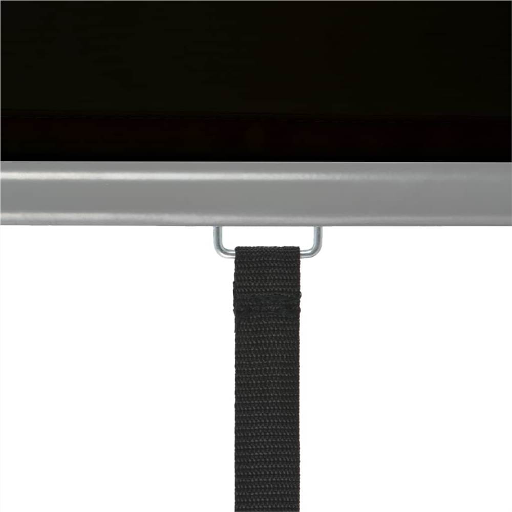 Balcony Side Awning Multi-functional 150x200 cm Black