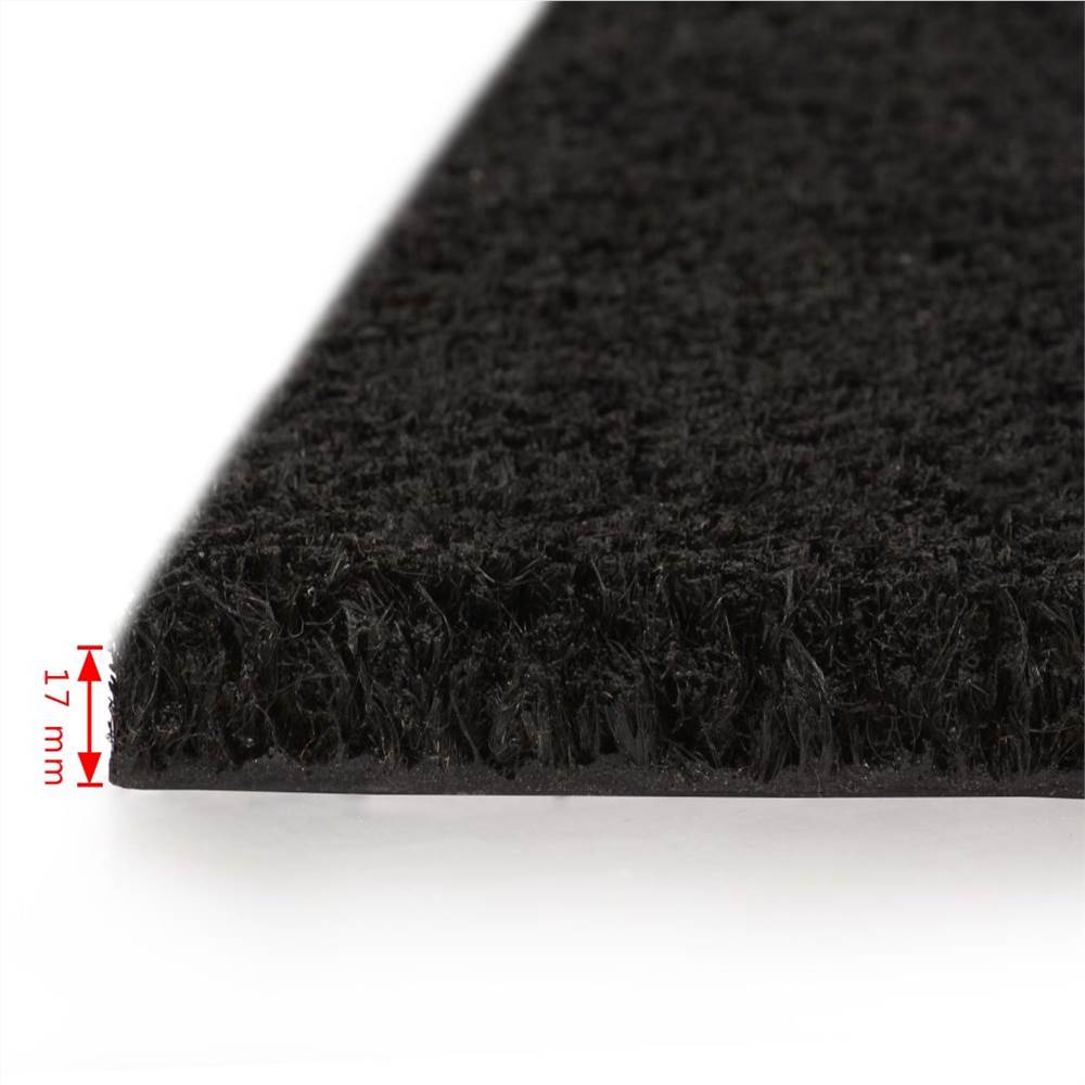 Doormats 2 pcs Coir 17 mm 50x80 cm Black