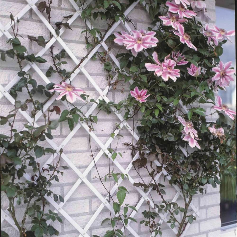 Nature Garden Trellis 100x300 cm PVC White