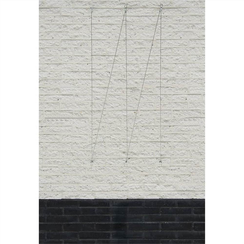 Nature Wire Trellis Sets for Climbing Plants 2 pcs
