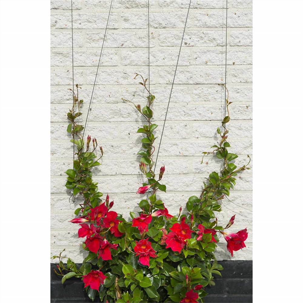 Nature Wire Trellis Sets for Climbing Plants 2 pcs