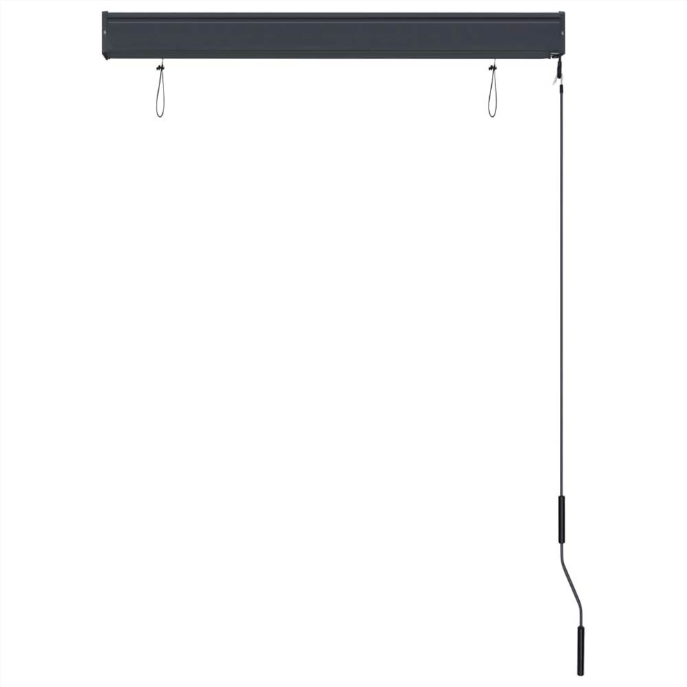 Outdoor Roller Blind 100x250 cm Cream