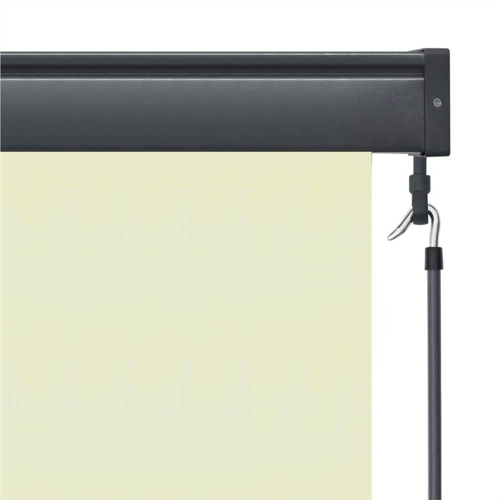 Outdoor Roller Blind 100x250 cm Cream