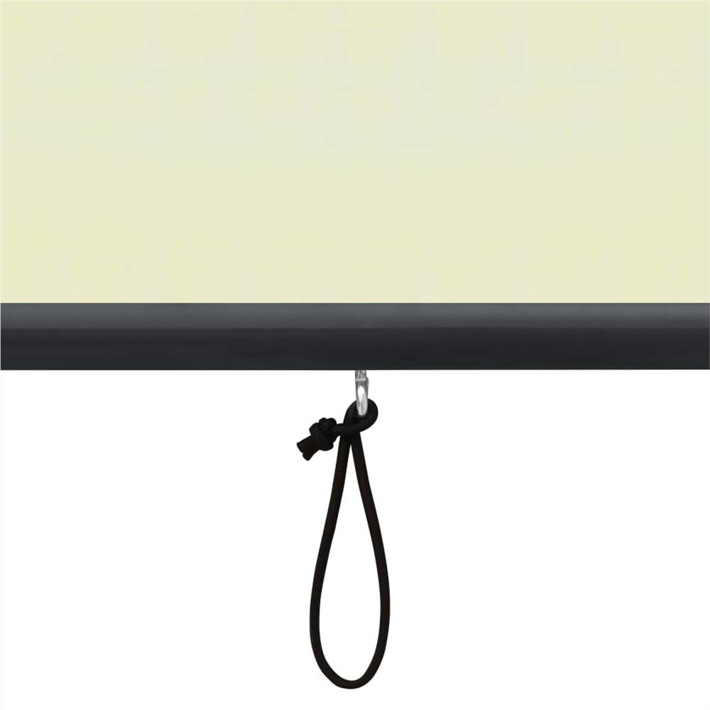 Outdoor Roller Blind 100x250 cm Cream