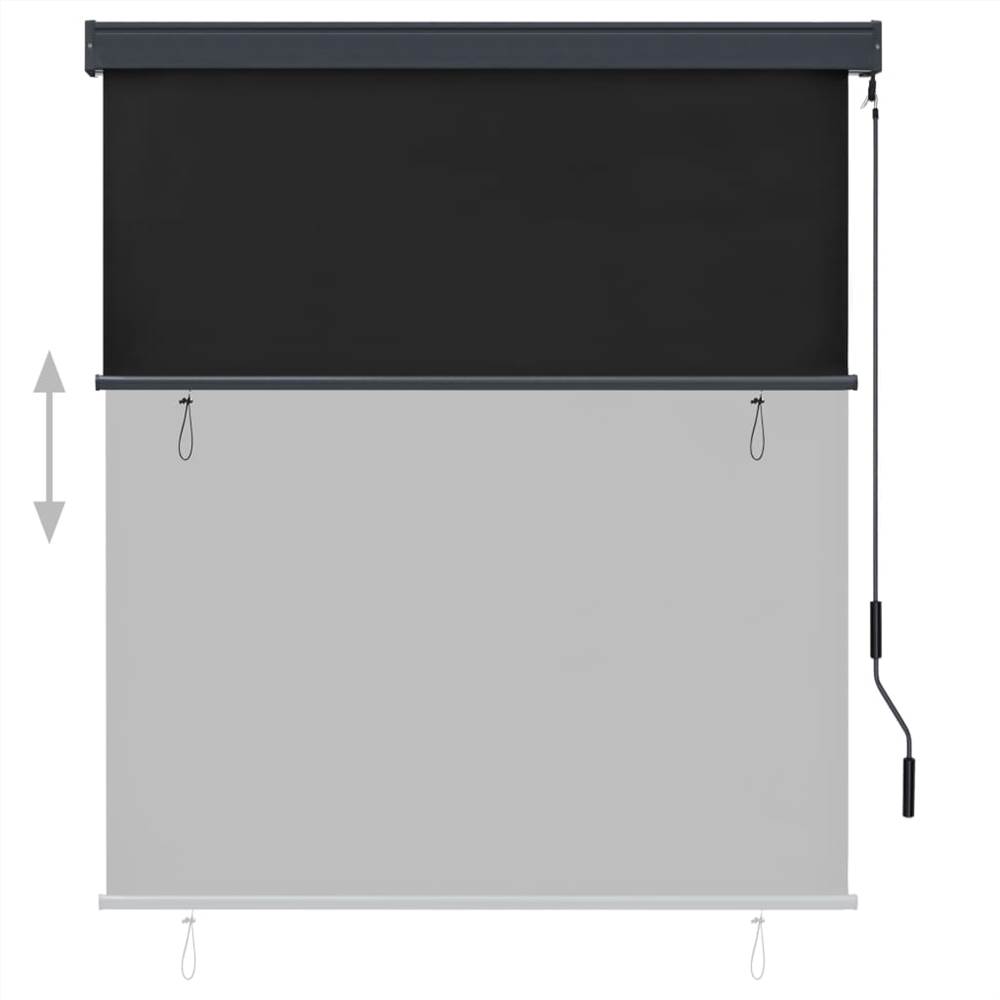 Outdoor Roller Blind 140x250 cm Anthracite