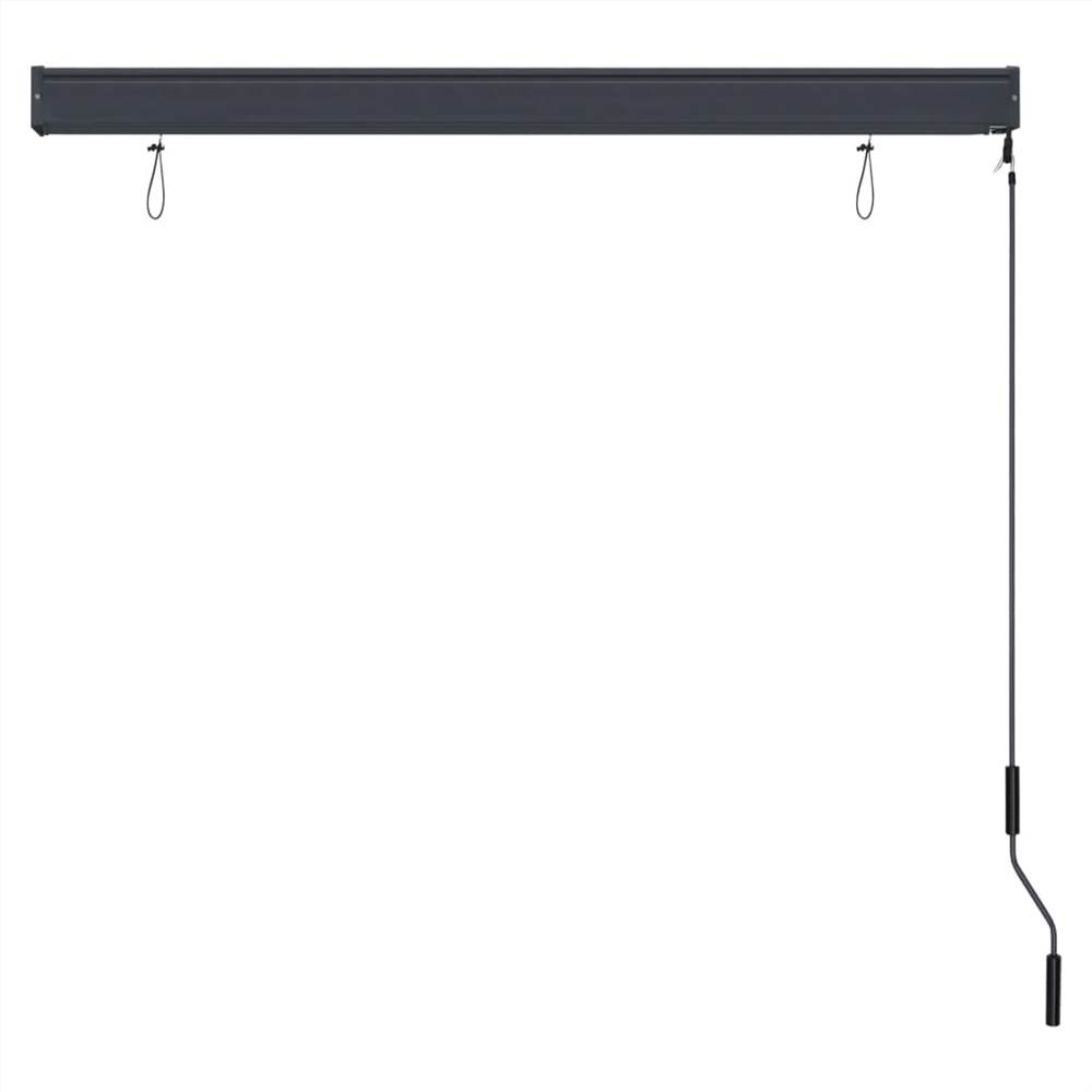 Outdoor Roller Blind 140x250 cm Anthracite