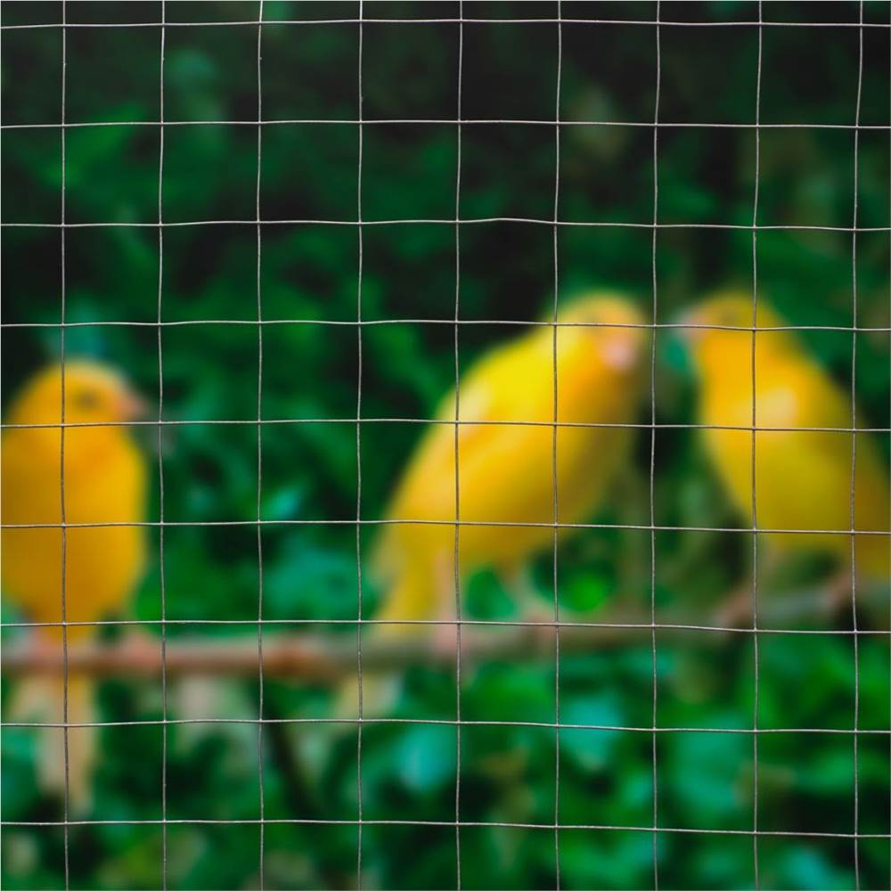 Nature Wire Mesh Square 0.5x2.5 m 6.4 mm Galvanised Steel