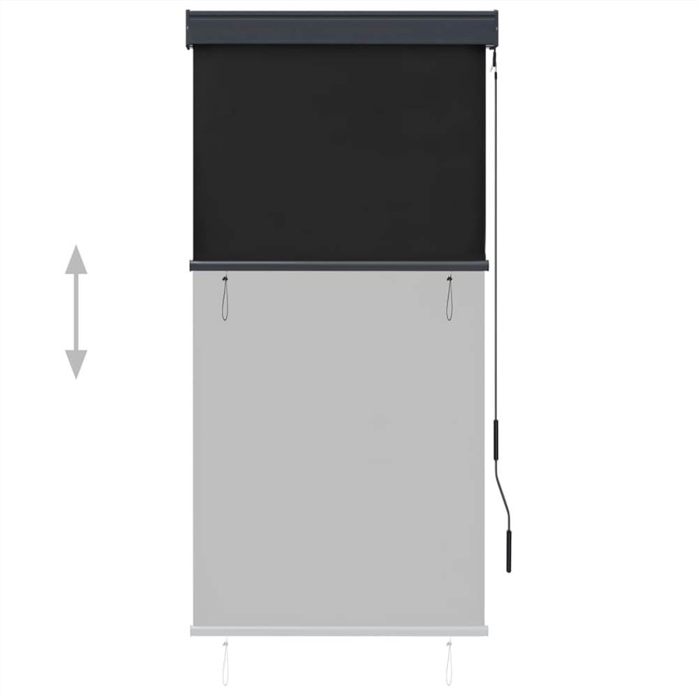 Outdoor Roller Blind 80x250 cm Anthracite