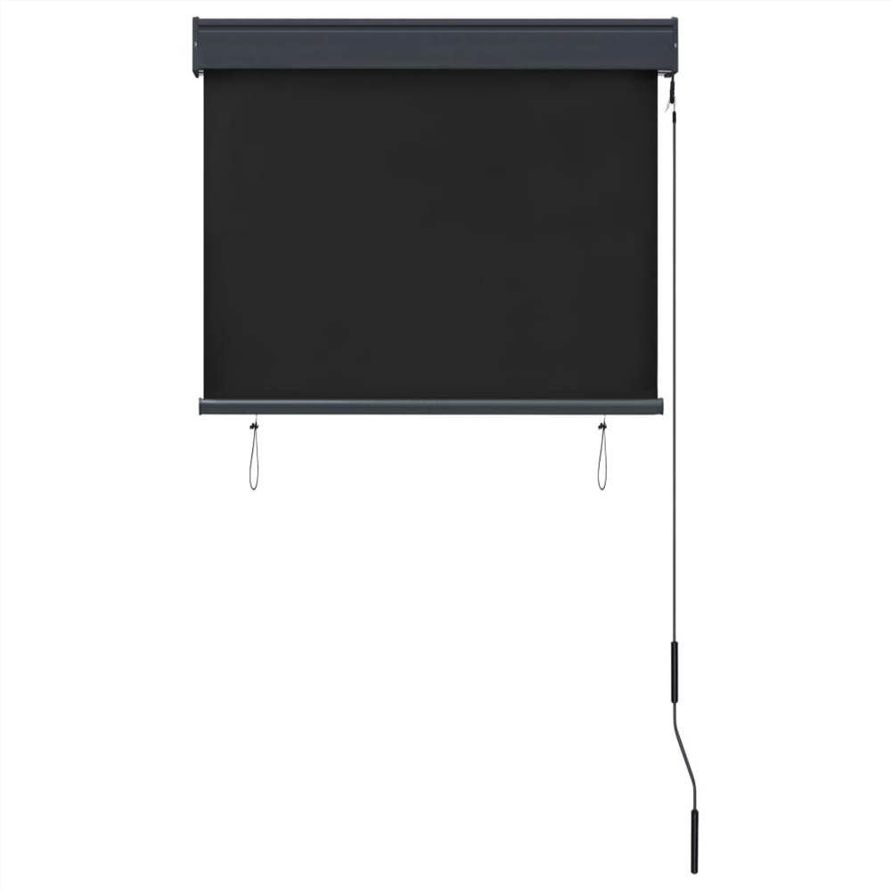 Outdoor Roller Blind 80x250 cm Anthracite