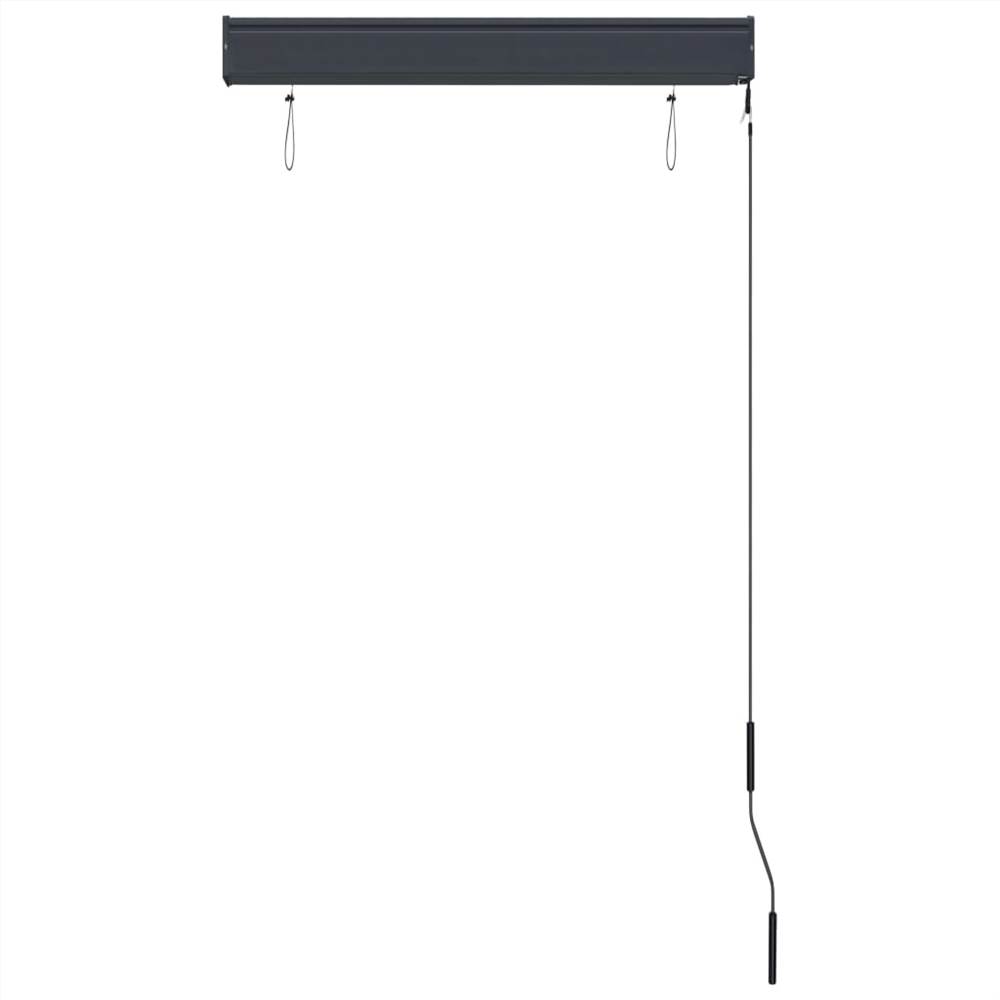 Outdoor Roller Blind 80x250 cm Anthracite