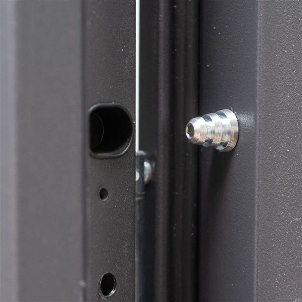 Aluminium Front Door Anthracite 100x200 cm