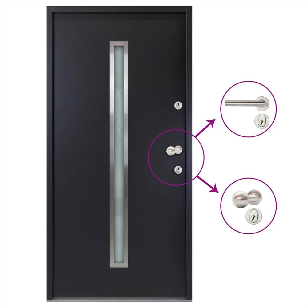 Aluminium Front Door Anthracite 100x200 cm