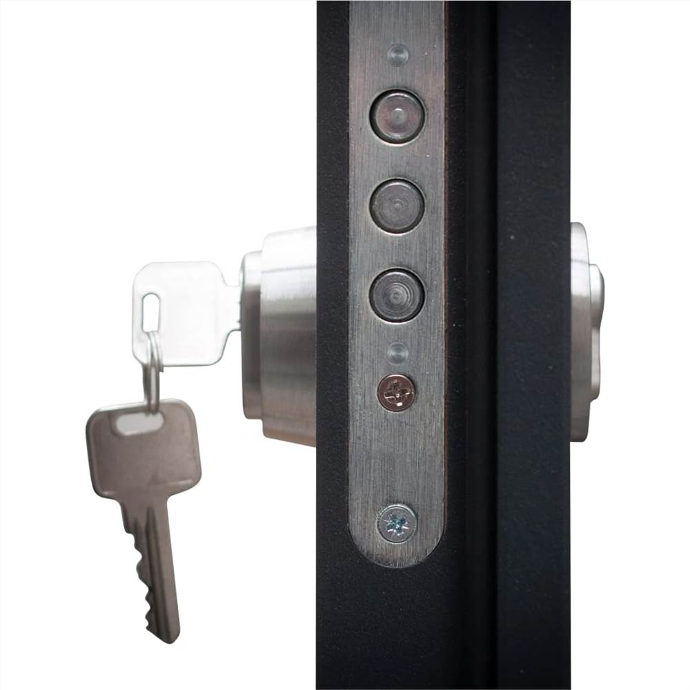 Aluminium Front Door Anthracite 100x200 cm