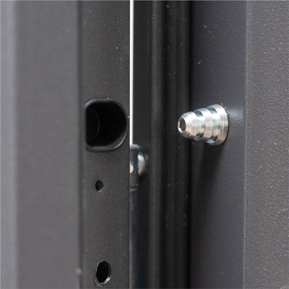 Aluminium Front Door Anthracite 100x200 cm