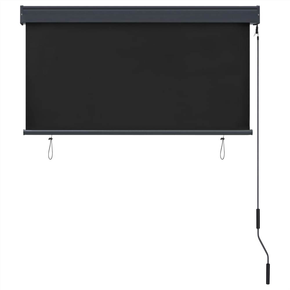 Outdoor Roller Blind 120x250 cm Anthracite
