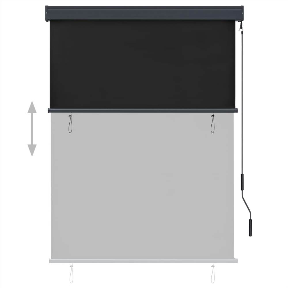 Outdoor Roller Blind 120x250 cm Anthracite