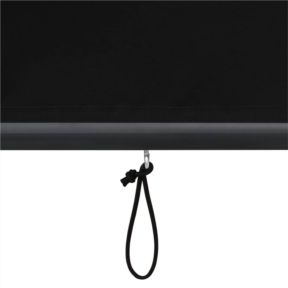 Outdoor Roller Blind 120x250 cm Anthracite