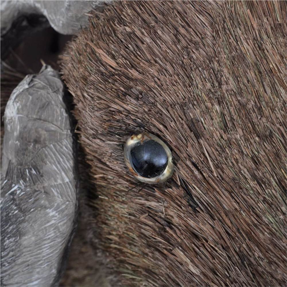 Ram Head Wall Mounted Decoration Natural Looking