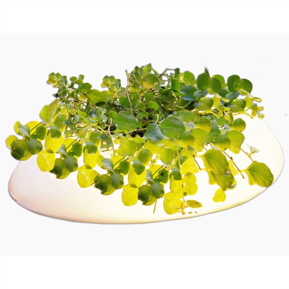 Velda Floating Pond Light 3 W White Oval