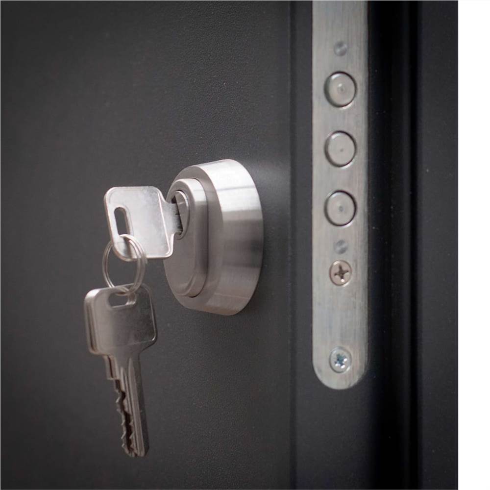Aluminium Front Door Anthracite 110x207.5 cm