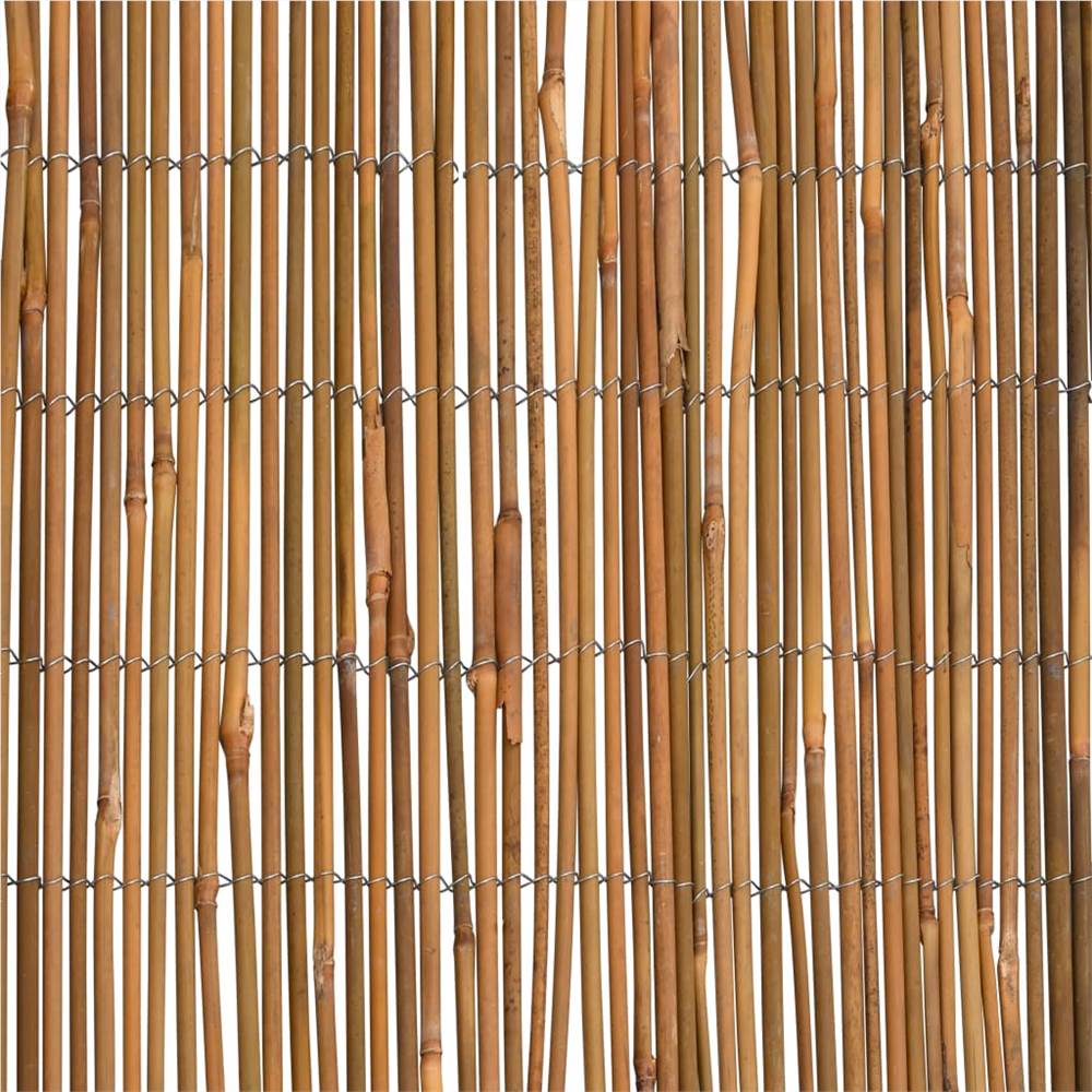 Bamboo Fence 500x150 cm