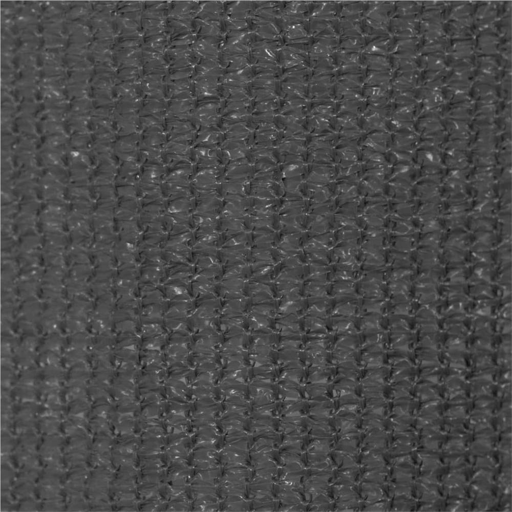Outdoor Roller Blind 350x140 cm Anthracite