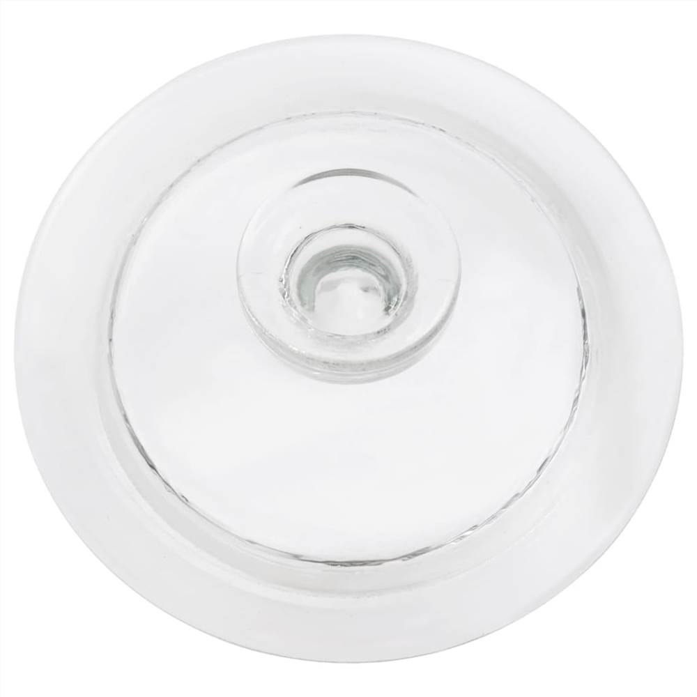 Storage Glass Jars with Lid 2 pcs 3850 ml