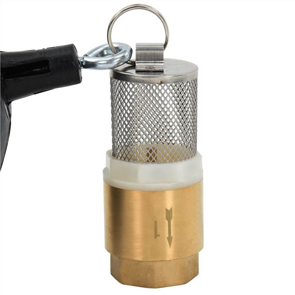 Suction Hose with Brass Connectors 5 m 25 mm Black