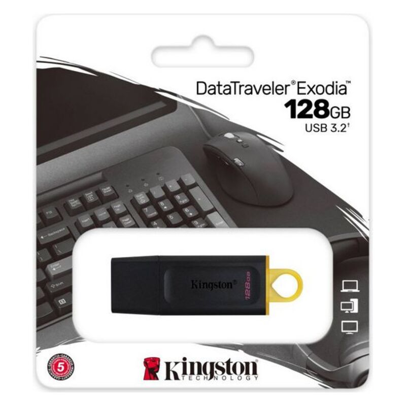 USB stick Kingston DataTraveler DTX Black