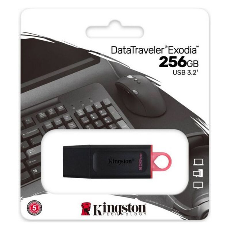 USB stick Kingston DataTraveler DTX Black